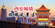 8090操逼网中国陕西-西安城墙旅游风景区