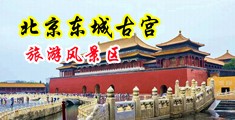 岛国黄色小电影大胸操逼中国北京-东城古宫旅游风景区